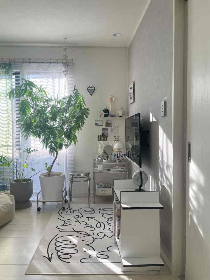 白とシルバーの色調のリビング、大きな植物とシルバーの家具が配置された明るく清潔な雰囲気のインテリア