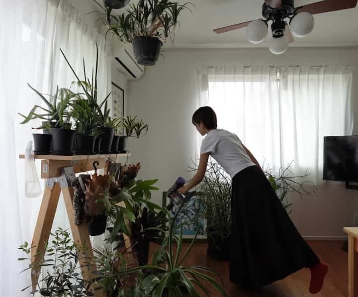 🇯🇵 2LDK｜植物と暮らす家🪴二人で育てる癒しの空間