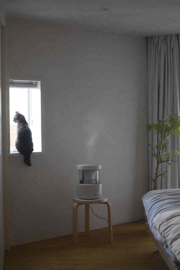 ナチュラルな木目調と遮光カーテンがある6畳の寝室、窓辺に座る猫とスツールの上の加湿器が配置された落ち着いた空間