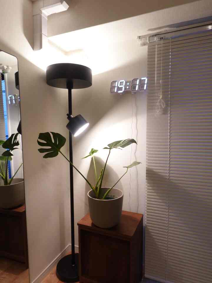 白い壁と黒いフロアランプ、植物が配置されたシンプルでナチュラルなコーナーのインテリア