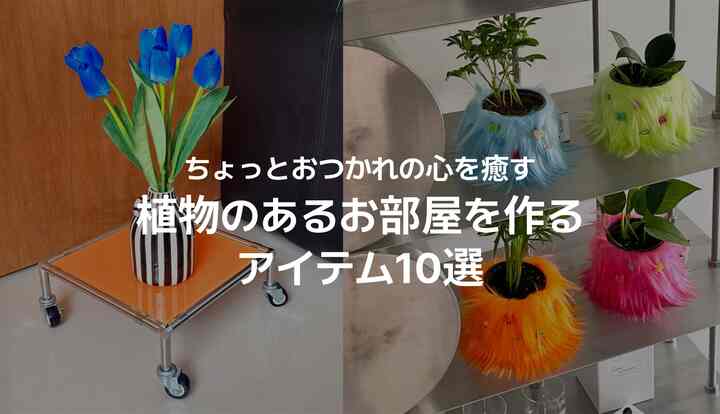 🔥おすすめ｜ちょっとおつかれの心を癒す、植物のあるお部屋を作るアイテム10選