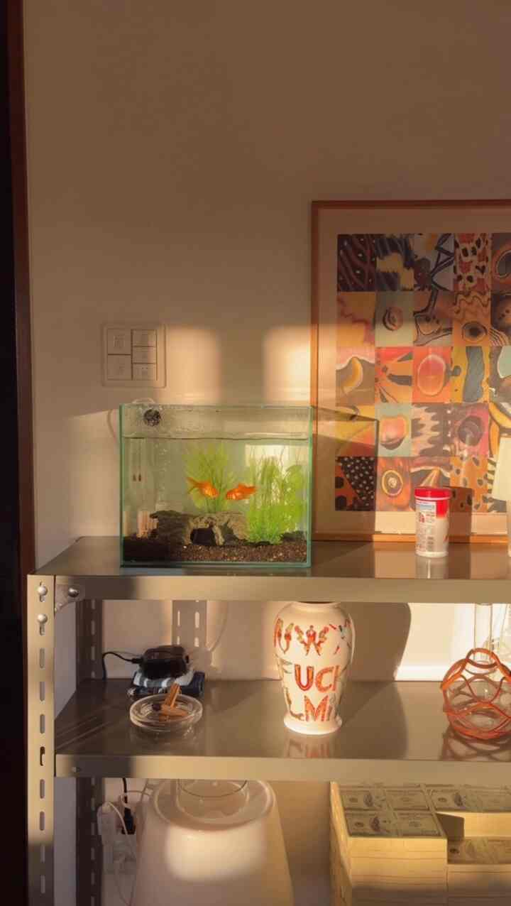 温かみのあるベージュの壁にスチールラックが置かれ、金魚の水槽と花瓶が配置されたシンプルで自然なインテリア