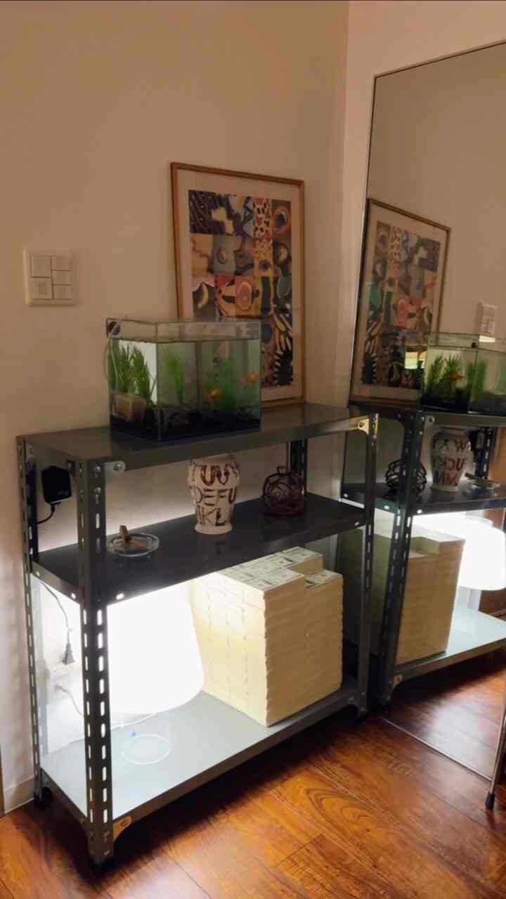温かみのあるブラウンの床とメタルのラックがある玄関、小さな水槽と装飾された額絵が配置された雰囲気のあるインテリア