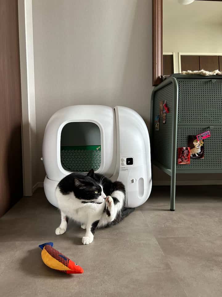 白とナチュラルカラーの狭い空間に自動猫トイレと黒白の猫がいる落ち着いた雰囲気のインテリア