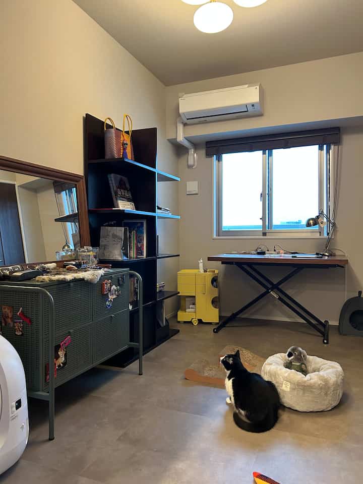 ベージュの壁とモダンな家具が配置されたコンパクトなホームオフィス、猫とペット用品のある温かみのある空間