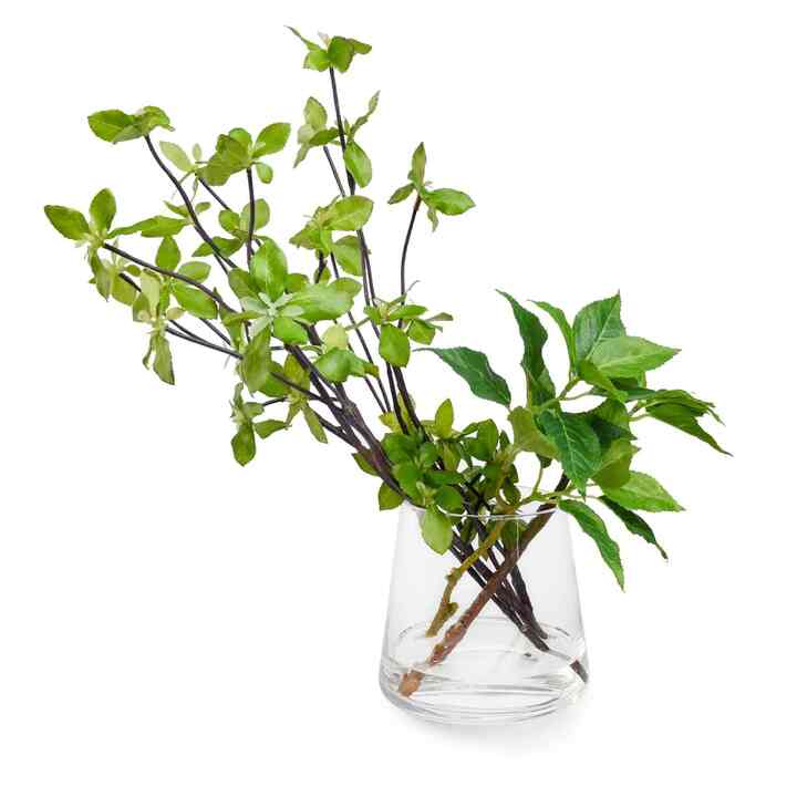 GREENPARK ブロッサムリーフWaterトラペゾイド 観葉植物 フェイクグリーン