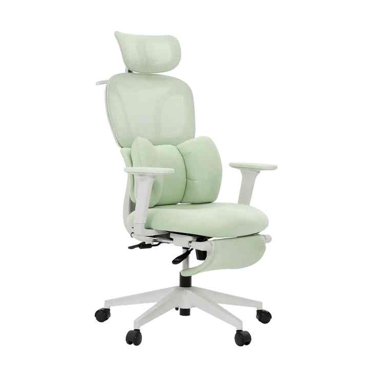 Embrace Women Ergonomic Chair