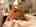 niconico_house