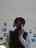 yoh__apartment40