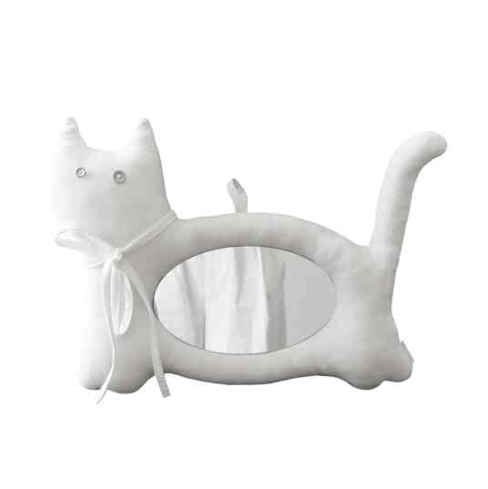 cat cushion mirror2