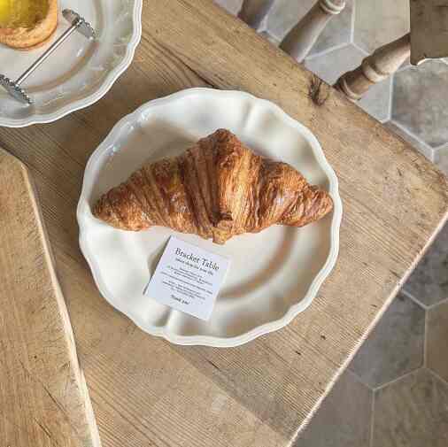 Scallop プレート