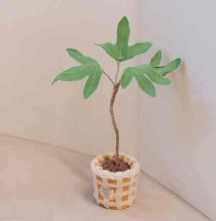 ファブリック 観葉植物 カクレミノ［2種］