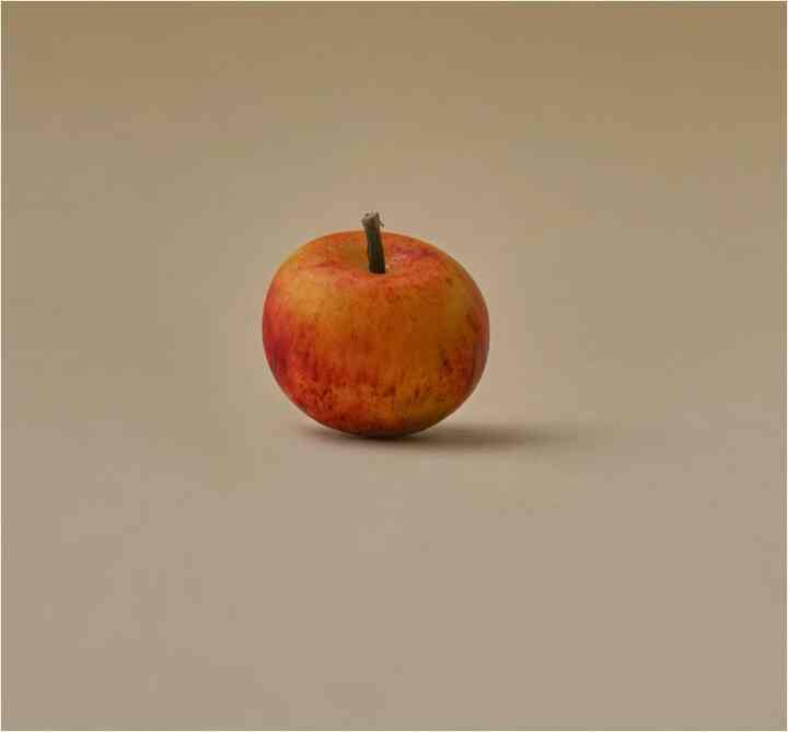 MINI APPLE ミニリンゴ