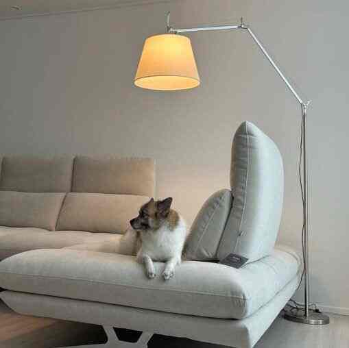 3.5世代 メガ フロアランプ 420