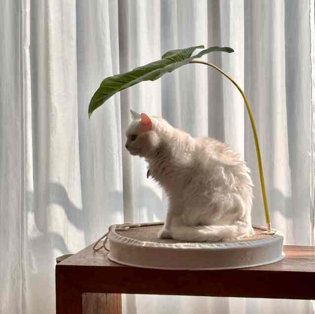 リーフシェード オブジェ［2サイズ］