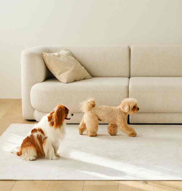 オールデイ ペットラグ［2色・7サイズ］