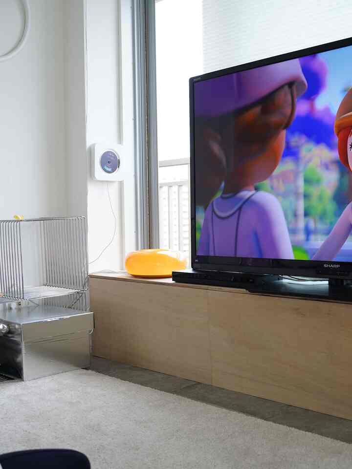 ナチュラルな木目調家具と明るいベージュのラグのあるリビング、シンプルで落ち着いた雰囲気のインテリア
