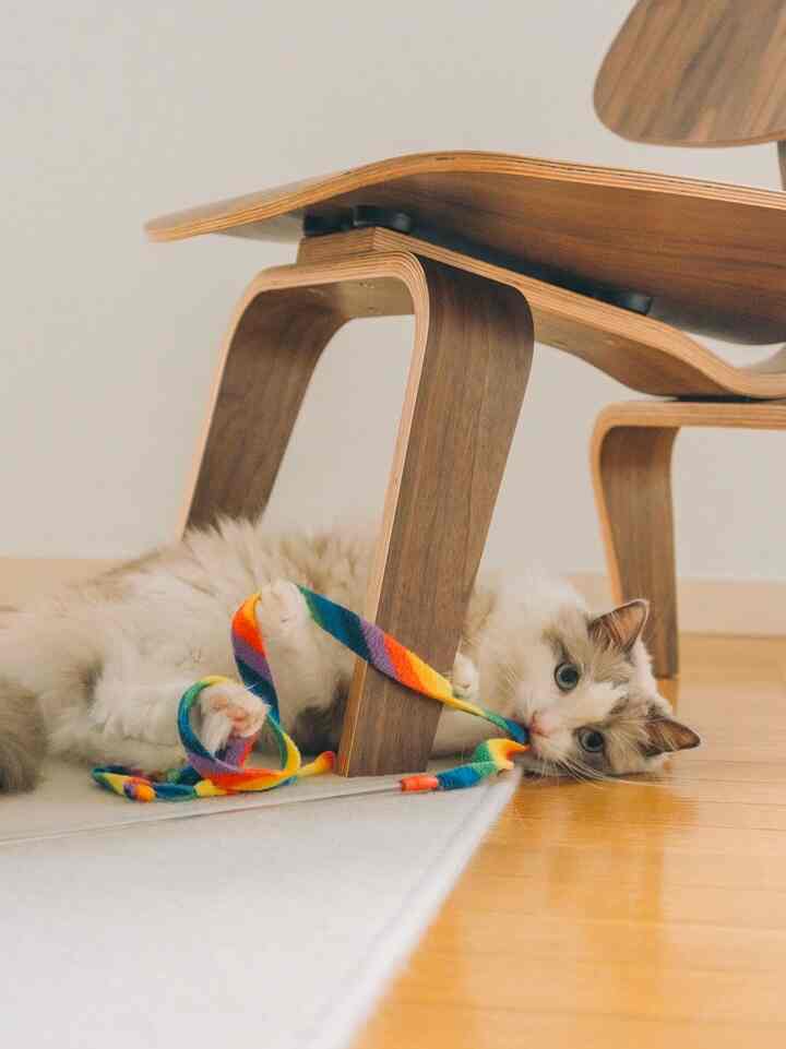 最近の我が家😌
#ハーマンミラー
#マークロスコ