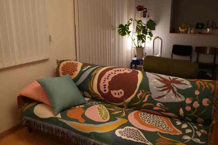 リバーシブルで使えるソファブランケット🛋️

#ソファ #ブランケット #リバーシブル #クッション #livewithplants #livingroom #リビングルーム 