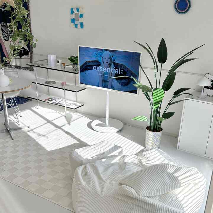 白を基調としたリビング、ビーズクッションのソファとチェック模様のラグ、ストレリチアの観葉植物が配置された明るく清潔感のあるインテリア