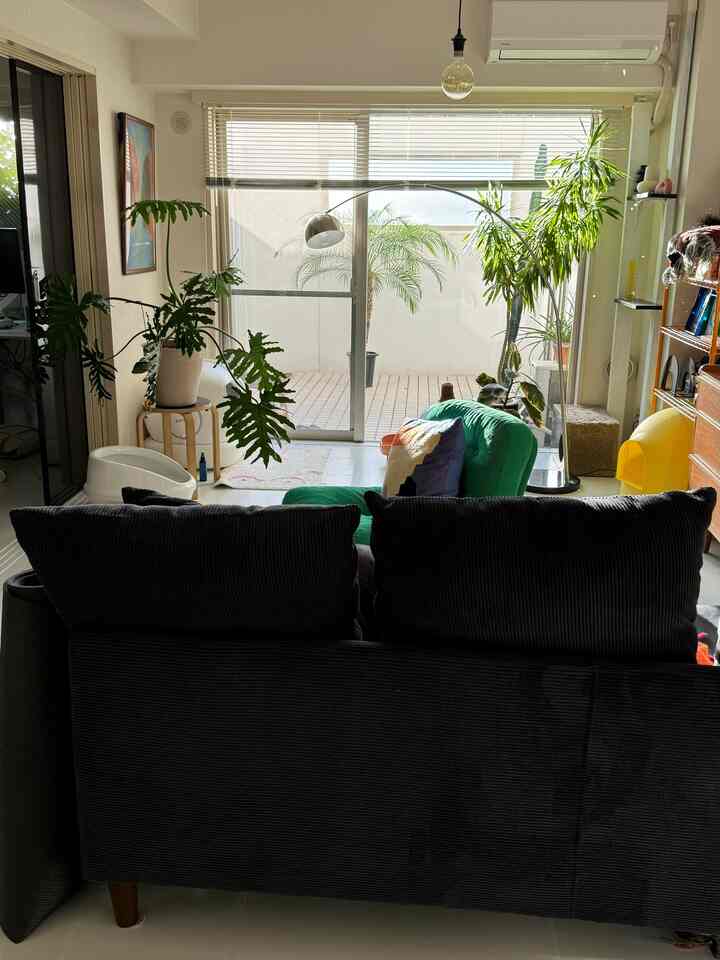 Bright white living room featuring green armchair, plants, and a black sofa centrally placed, creating a modern cozy atmosphere