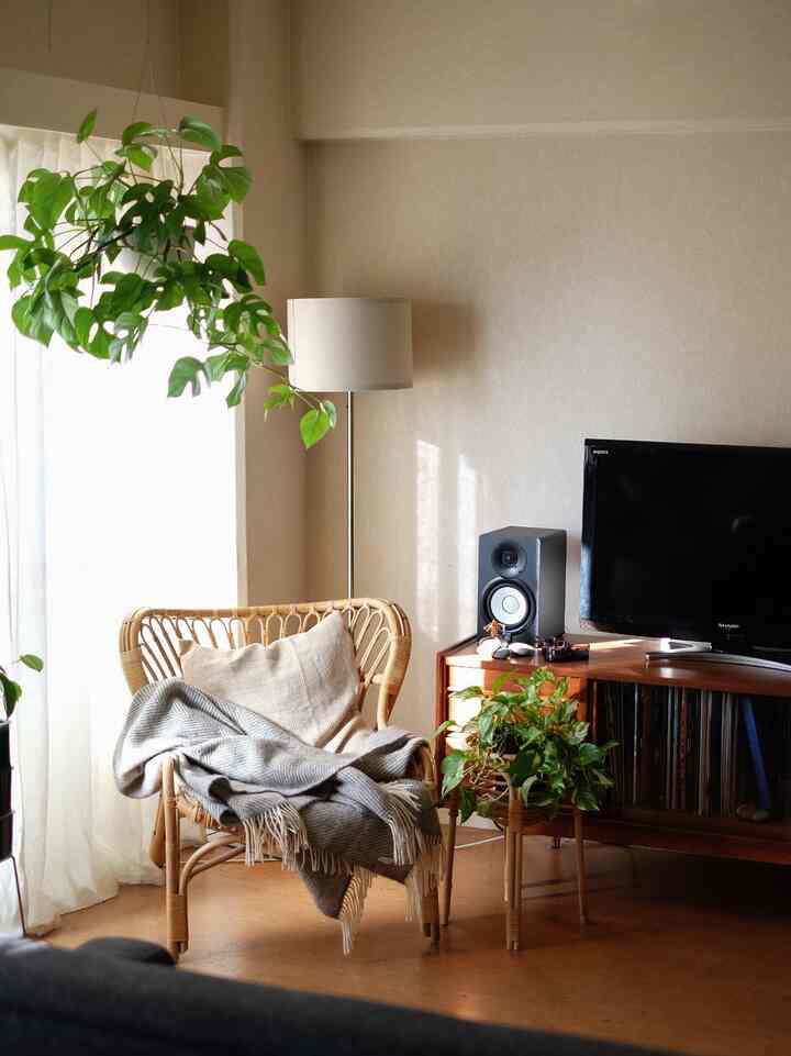 Cuacanya cerah dan terasa luar biasa!

#living #loungechair #rattanchair #andtradition #lamp #vintagestyle