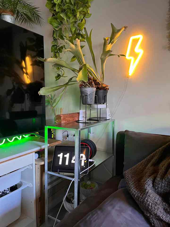 Monotone and green-toned studio living room featuring a sofa, metal shelf with plants and clock, and yellow lightning neon wall light creating cozy atmosphere