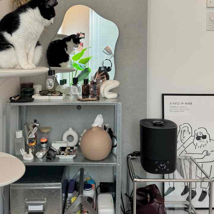 ナチュラルトーンの狭いワンルーム、金属製の棚と黒い加湿器、猫がいるモダンなインテリア