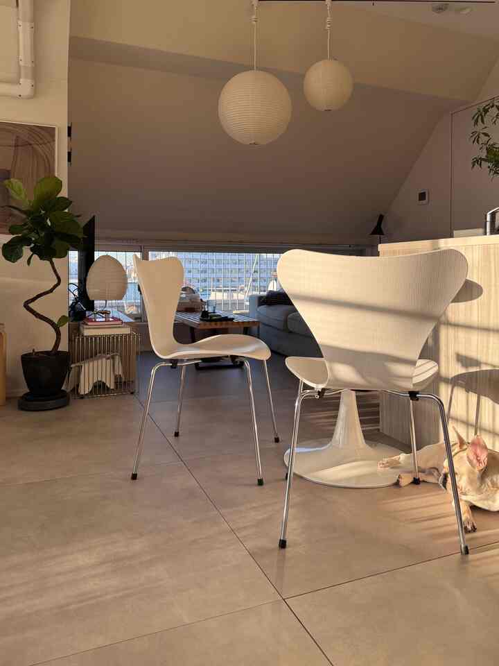 Natural color and white toned mid-century modern living room featuring Seven Chairs and Akari pendant lights with a dog resting in sunlight