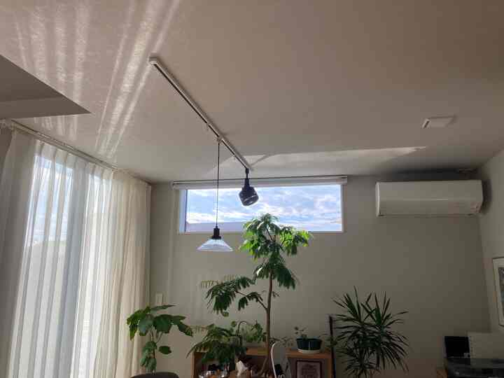 朝8時ごろは朝日が入って気持ちいい☺️

植物たちを集めて置いて
風を当ててます🪴

全員集合!!


#ダイニング #ダイニング照明 #ダイニングスペース #観葉植物 #サーキュレーター　#ダクトレール #ダクトレールライト 