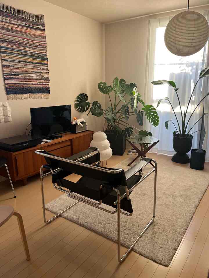 Natural-tone living room featuring Wassily chair and beige rug at center with a clean and modern atmosphere