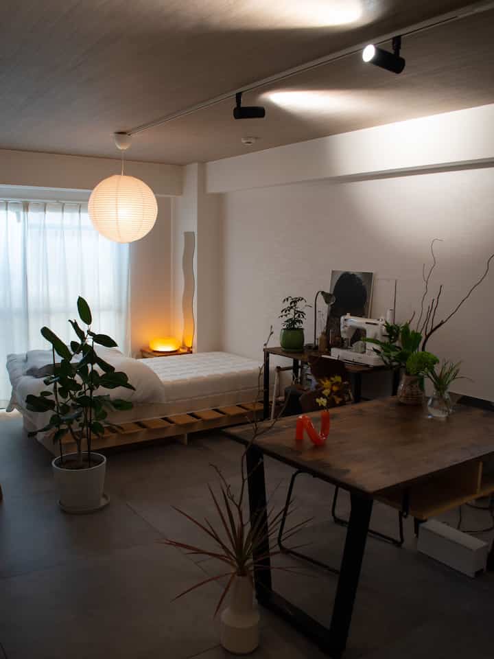 柔らかな白とナチュラルな木目調のワンルーム寝室、ベッドとダイニングテーブル、多様な植物が配置された雰囲気のあるインテリア