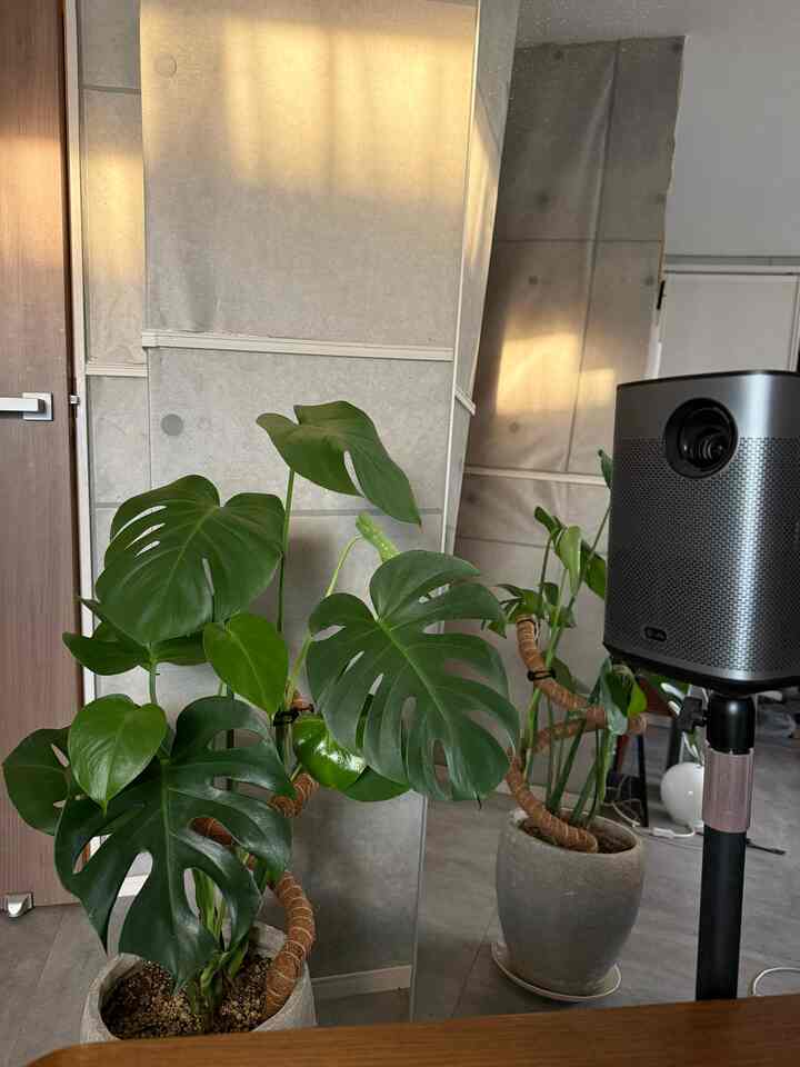 大きな鏡はお部屋を広く見せてくれる。
場所も取らないので鏡は大きいものをおすすめします。
#鏡 #全身鏡 #ミラー #割れない鏡