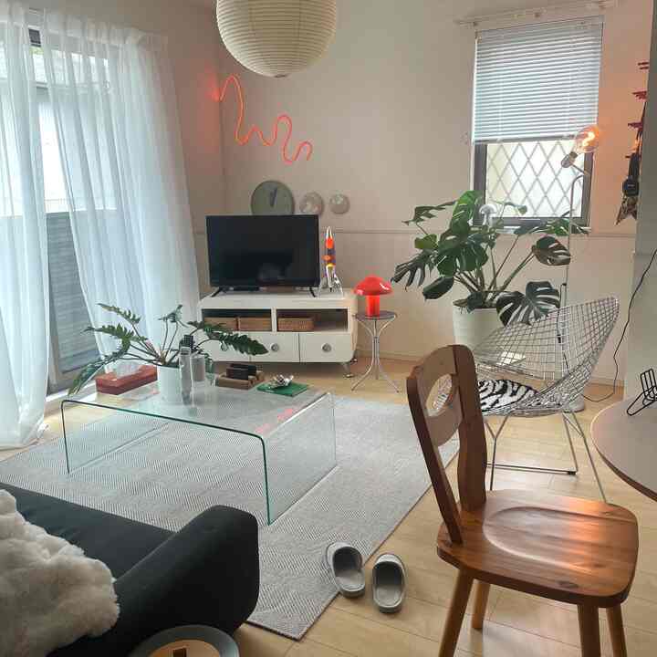 White and green toned living room featuring Mid-Century Modern furniture and plants with a cozy atmosphere