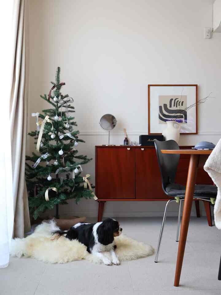 IKEAの小物で冬仕様のお部屋に🎄

#冬のインテリア 
