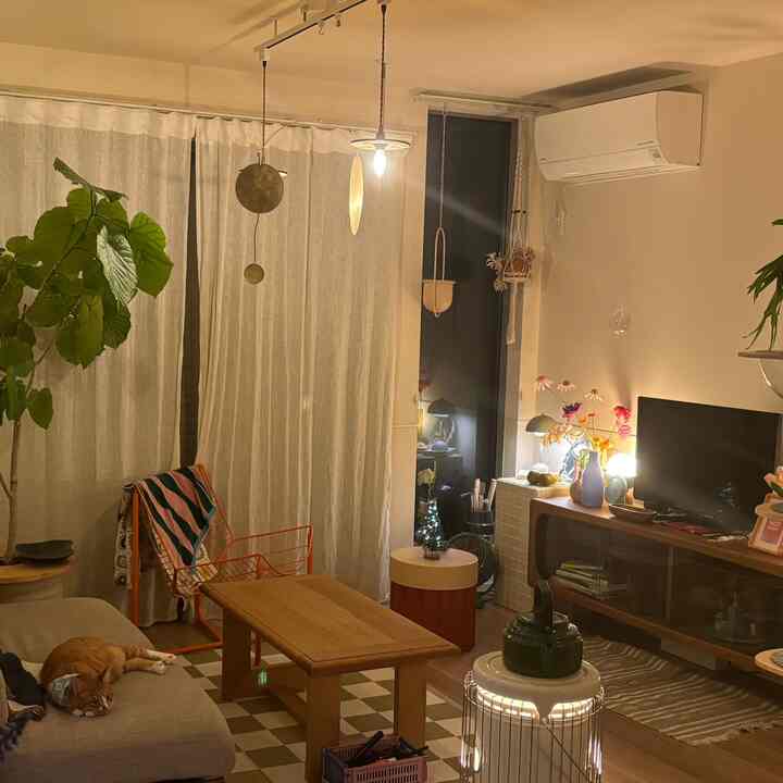 Natural-toned living room featuring a cat on sofa and wooden furniture creating a cozy atmosphere