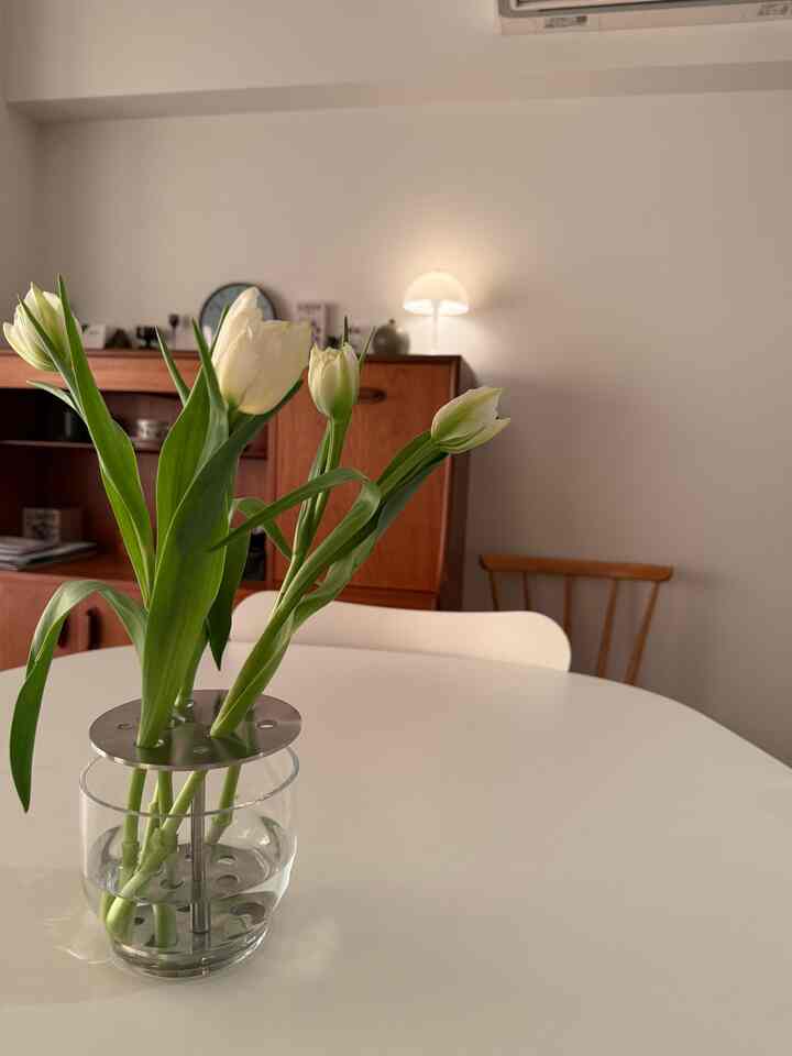 ダイニングです。
フリッツハンセンのイケバナベースにチューリップを🌷


#FRITZHANSEN 
#フリッツハンセン
#フリッツハンセンイケバナベース
#フリッツハンセンアナログ
#セブンチェア
# ルイスポールセンパンテラポータブル
