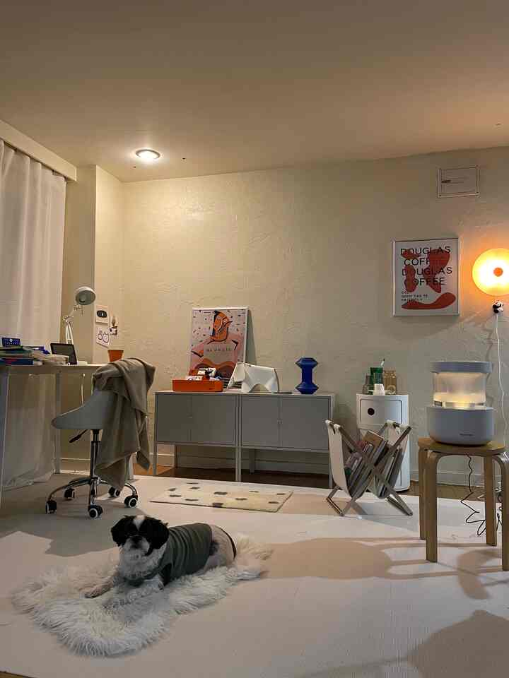 暖かいベージュの照明と白を基調とした1DKリビング、ペットの犬と間接照明が配置された落ち着いた空間