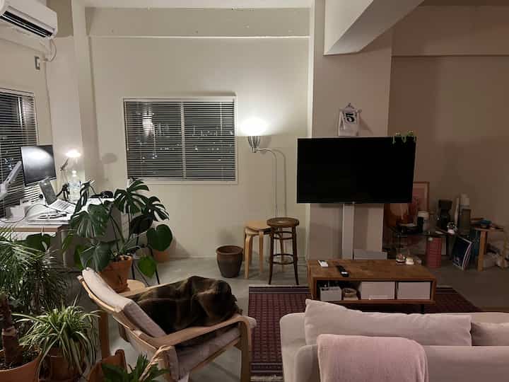 Natural tone living room featuring plants and wooden furniture with a cozy modern atmosphere