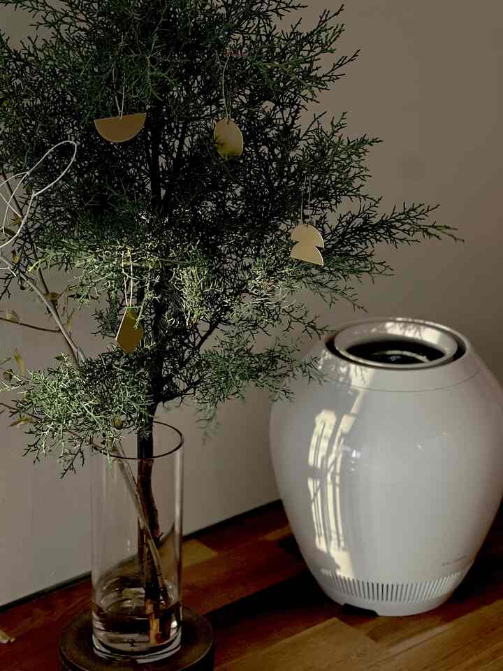 今月の枝物定期便。
枝物で飾るクリスマスツリー🎄
.
もう12月ですね。
加湿もつけて乾燥対策してます♪
.
#枝物定期便
