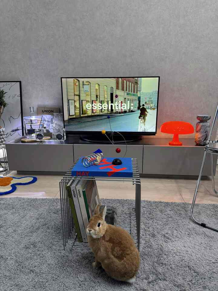 #うさぎのいる暮らし🐰

#うさぎ
#うさぎのいる暮らし
#リビングインテリア 
#ミッドセンチュリー 
#ミッドセンチュリーモダン 
