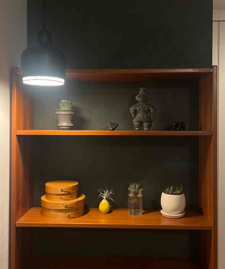 木目調の棚と黒い壁が調和する玄関、様々なインテリア雑貨と小さな植物が配置された雰囲気のある空間