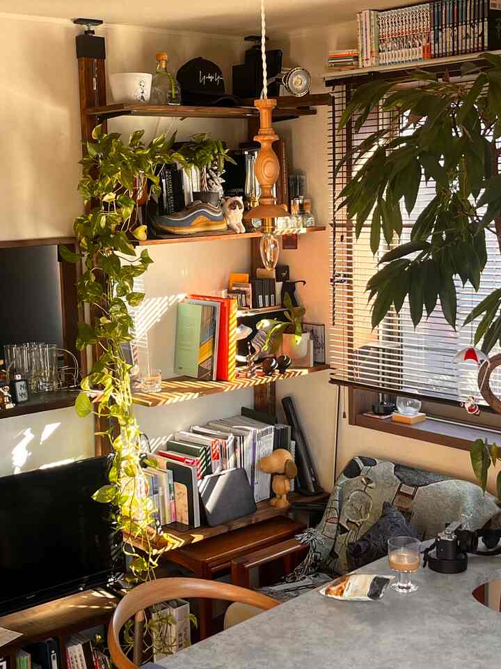 我が家は放任主義のため、ポトスが伸び切ってしまってます😅

剪定してあげたほうが植物にも良いと聞いたけど、この時期剪定するのは植物にダメージ大きいとも、、、

ネットの一つの情報だけじゃなくて、ちゃんと色々勉強してから手を出さなきゃですね

#CARLHANSEN&SØN 
#sghr
#OrnédeFeuilles 