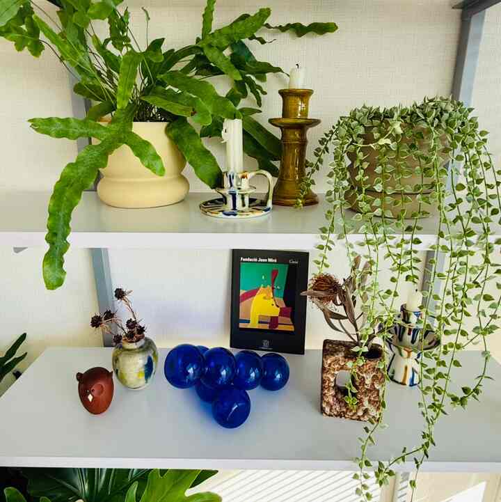 Pot tanaman di rak sama-sama berasal dari FARM!
Saya suka bentuknya yang bulat 🌿

#Rak #ラック・Rak #ディスプレイラック #インテリア小物 #鉢植え #鉢カバー #観葉植物 #インテリア植物 #インテリア配色 #fatlava #花瓶 #花瓶インテリア #ヴィンテージ #ミッドセンチュリー #キャンドルホルダー #ZARAHOME #joanmiro