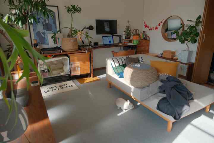 Beige and wood-toned natural living room featuring sofa, desk, and a pet rabbit playing on the floor, creating a cozy atmosphere
