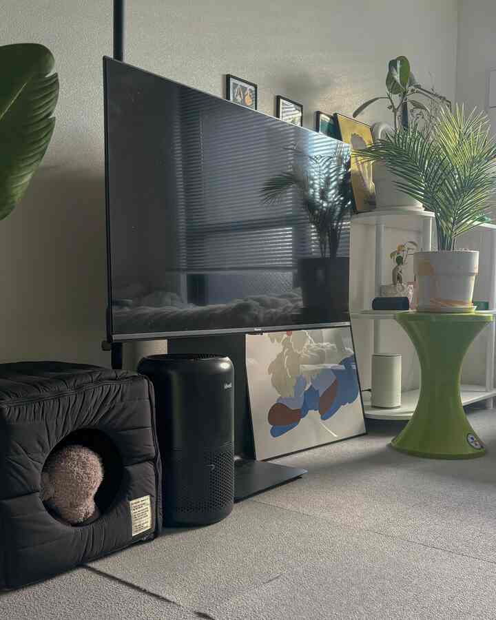 テレビ周りの黒で統一された感じ気に入ってる🖤
手前のボックスのおうちはデザイン好きなのに
本当〜〜〜〜に犬が入らなくて😂
ぬいぐるみを入れるだけになってしまってる🐶

#インテリア #ベッドルーム #韓国インテリア #1K #8畳 #一人暮らし #一人暮らし部屋 #ペット用品 #ペットインテリア