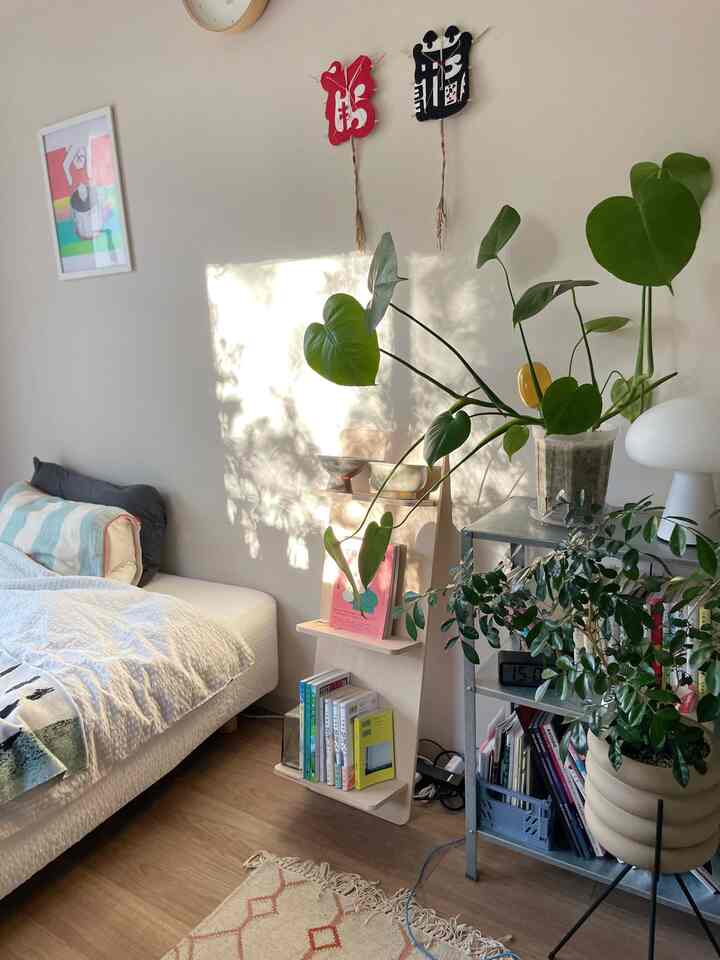 Natural beige-toned studio bedroom featuring plants and shelves, creating a cozy and relaxing atmosphere