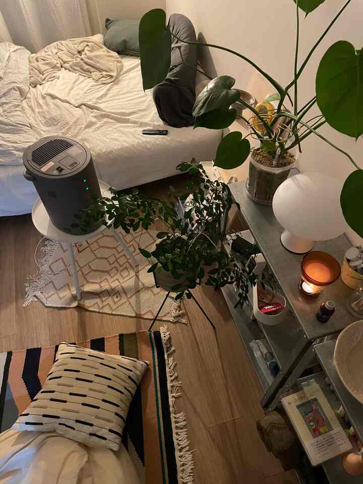 A white and wood-toned studio apartment featuring a bed and plants with a cozy atmosphere