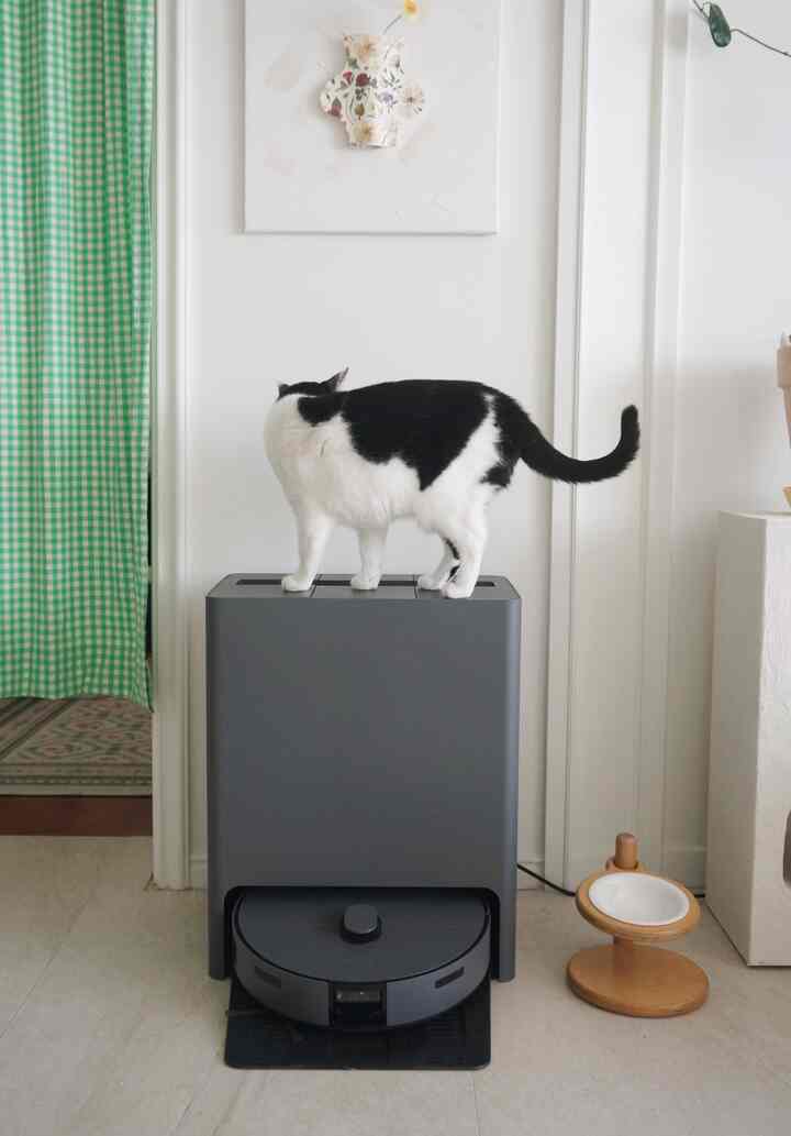 ロボット掃除機がなかったらどうしたのでしょうか。
毎日起きて猫を食べてトイレを掃除してから
ロボット掃除機で床を掃除してくれれば、


＃今日清掃完了＃猫＃隠しカーテン＃ペットテリア 
＃リビングインテリア＃猫用品＃ロボット掃除機＃サムスン
＃サムスンロボット掃除機＃ビスフォーク掃除機＃ビスフォークAIスチーム
＃ウォーターレザー掃除機＃ウォーターレザー掃除機 
#BESPOKE 