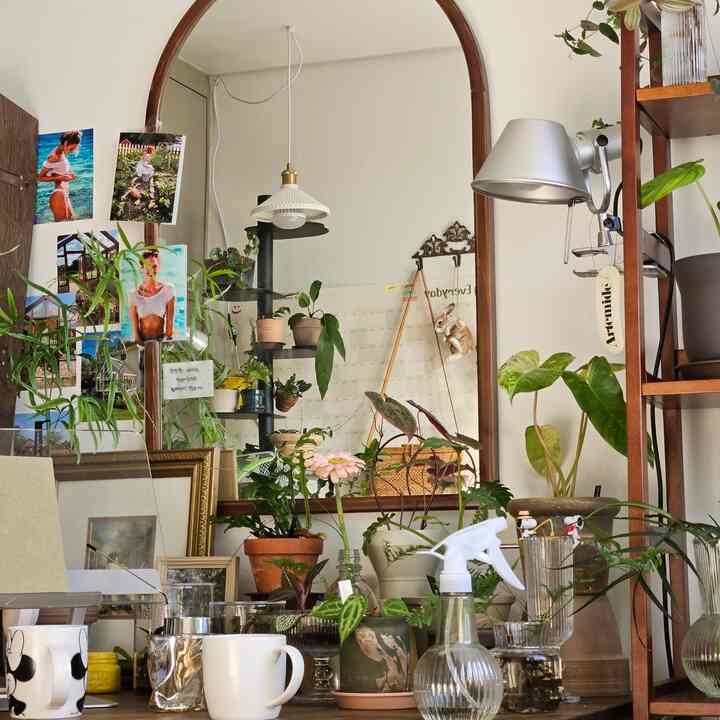 #フランテリア
植物が大好きなので自制しようとし、整理して整理しても
植物家族は増えていきます！
だから私は狭いスペースに多くの植物を配置するために
いろいろな方法を試しています。
北旋盤を利用したり、取り外し可能なトロリーを使用したりします
ダイソーで簡単に入手できる木製棚は、小さな植物の高低を異なるように配置するときに便利です。
梯子型棚も私がプランテリアするときにぜひ利用する家具です:)

#植物
＃フランテリア＃感性植物
#植物愛好家
#テラリウム #miniaturegarden
#terrarium #plantlover
#plantlife #indorplants
#gardendesign
#gardeninspiration
#intrriordesign #roomdecor
#roominspiration #homedesign